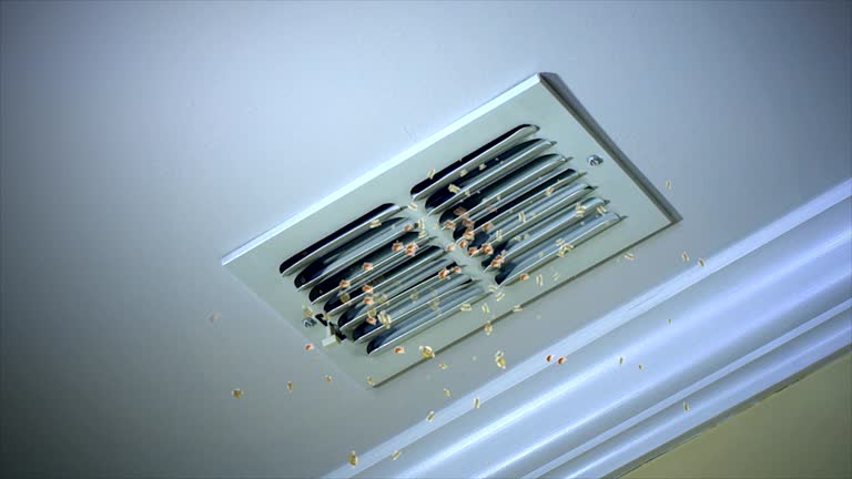 Best Affordable Duct Cleaning Services  in Schertz, TX